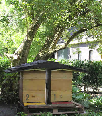 Afbeelding