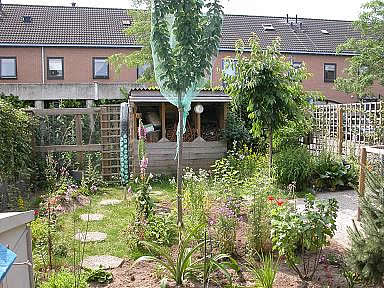Afbeelding