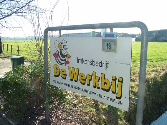 Afbeelding