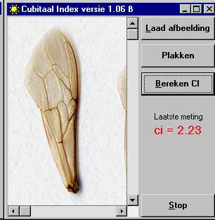 Afbeelding