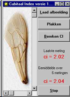 Afbeelding
