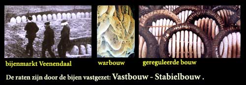 vastbouw