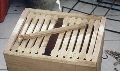 Afbeelding