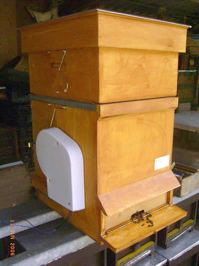 Afbeelding