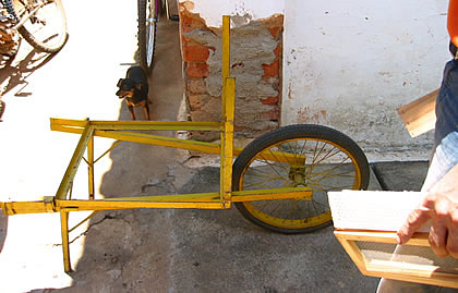 Afbeelding
