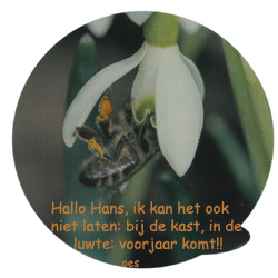 Afbeelding