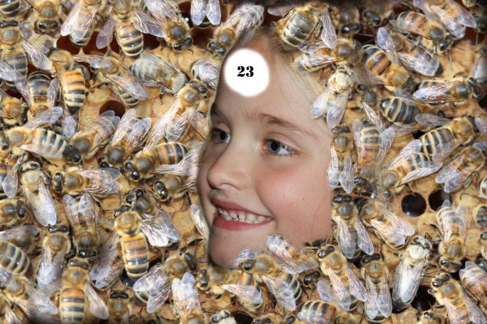 nazicht bijen