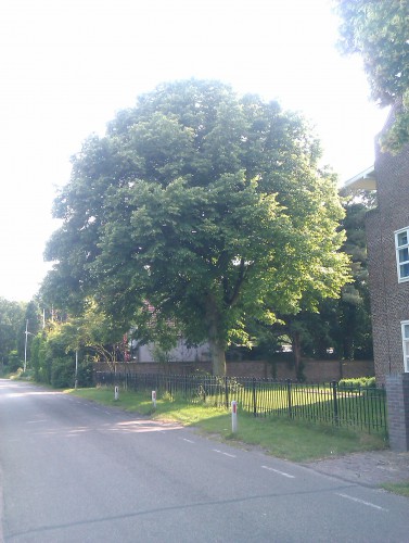 IMAG0027.jpg