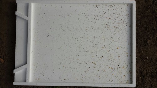 20130811_094415_resized.jpg
