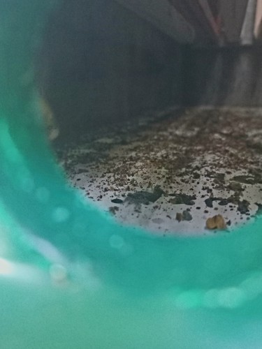 20250521_131203.jpg