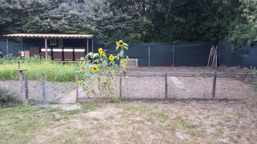 20130907_115000_resized.jpg