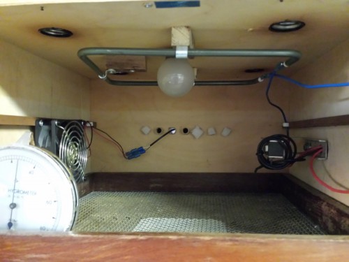 De binnenkant met gloei element en nog 1 lamp die apart te schakelen is zodat je licht hebt zonder de broedstoof te hoeven openen.