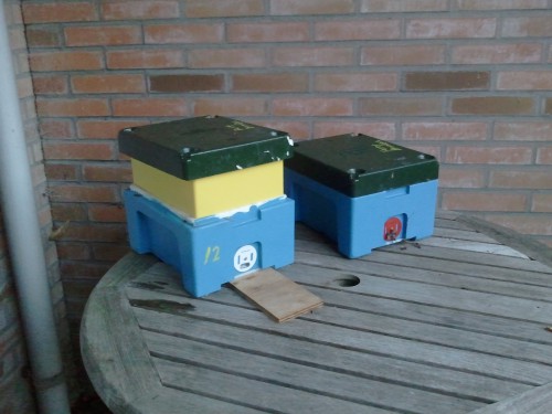Voerbakje op Kieler.