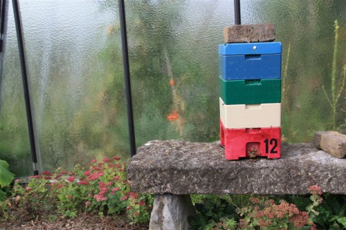 kielerkastjes overwinteren 004.jpg