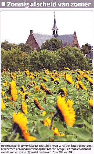 zonnebloem.jpg