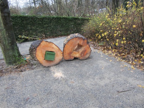 beide kolosen net afgeleverd