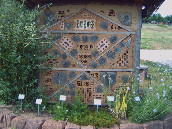 Bienenhaus