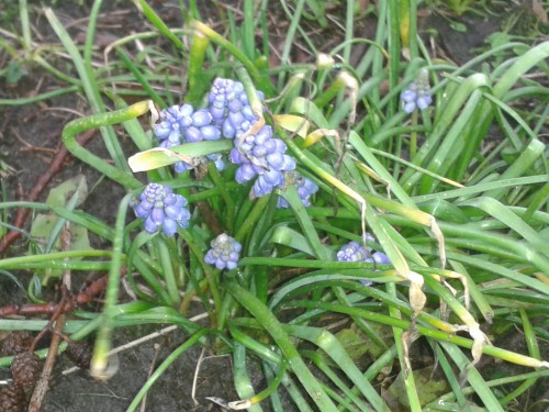 20140207_150521-1.jpg