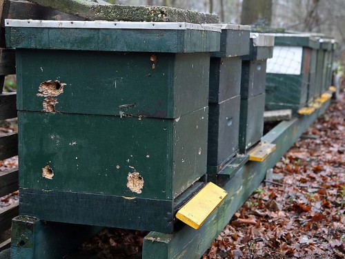 Spechtschade-kast.jpg