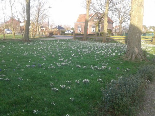 sneeuw 1.jpg