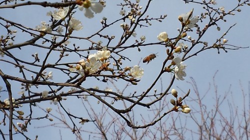20140308_152027.jpg