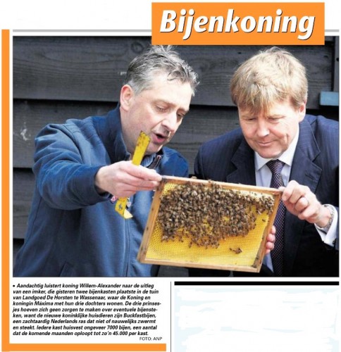 foto.jpg