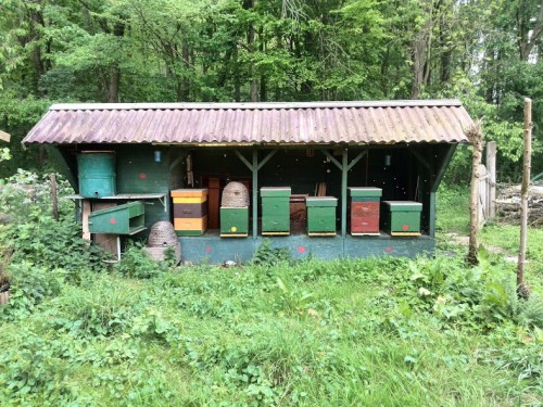 bijenstal4.jpg