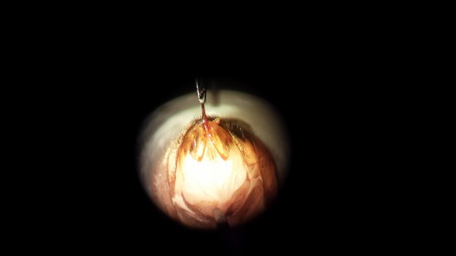 20140430_230058.jpg