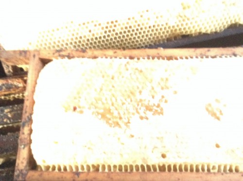 image.jpg