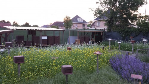 20140523_212826_resized_1.jpg