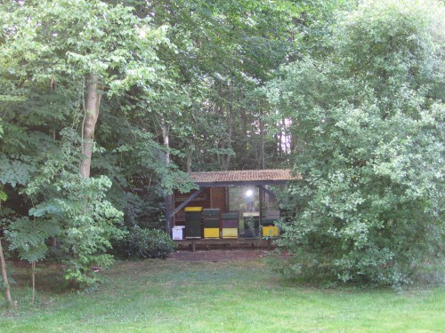 afbeeldingen 22 juni 2014 003.JPG