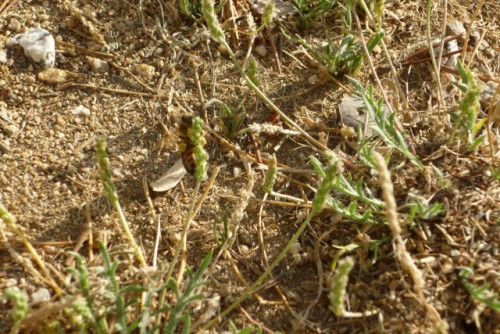 P1060269 (640x427).jpg