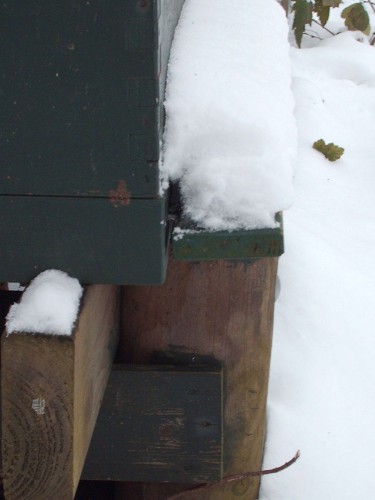 meestal sluit sneeuw niet geheel af,<br />het helpt om de bijen niet ontijdig naar buiten te lokken!