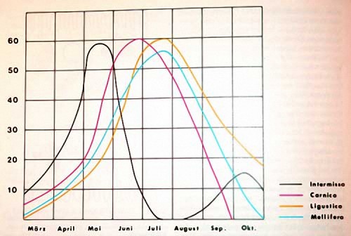 broedcurve.jpg