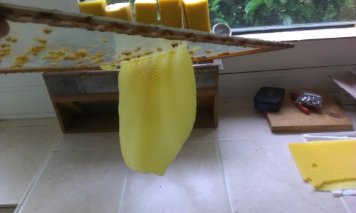 Raat bouw aan deksel.