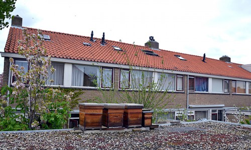 4 mei 2015