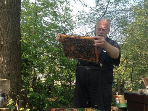 zonder leesbril zijn de eitjes niet meer te zien
