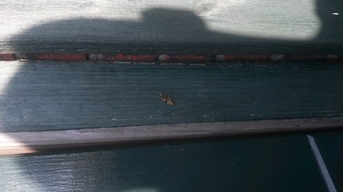 20150718_193526.jpg
