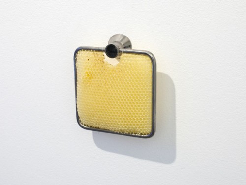 sema-bekirovic-bees3.jpg