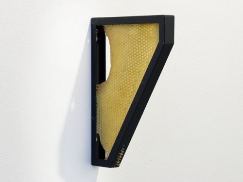 sema-bekirovic-bees4.jpg