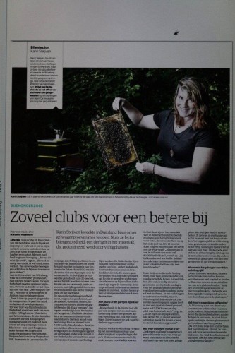 krant.jpg
