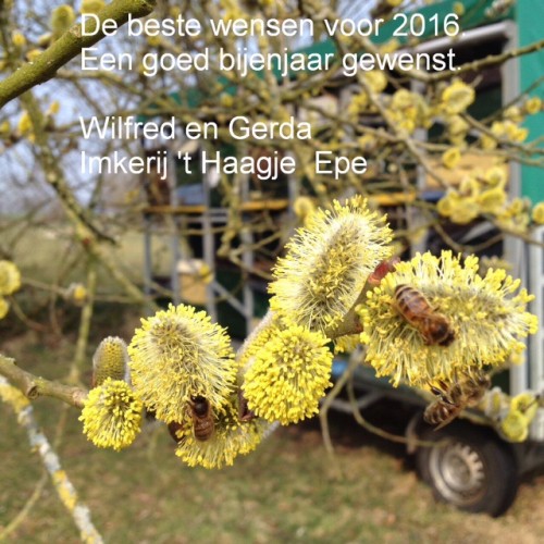 Een gezond 2016