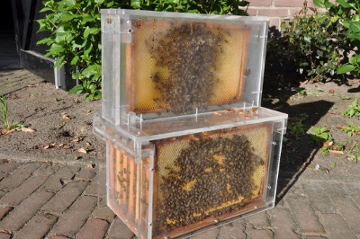 Bijen kast 001 (400x266).jpg