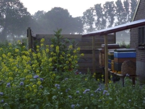 Nu met nog iets verder overhangend dak.