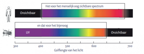 screenshot-www-natuurmedia-nl-2015-12-06-02-10-53.png
