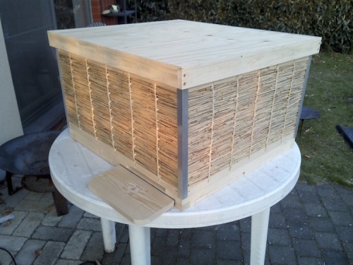 golzkast in riet