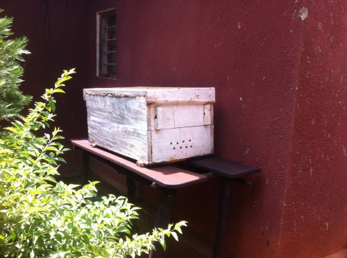 Tanzania Topbarhive.jpg