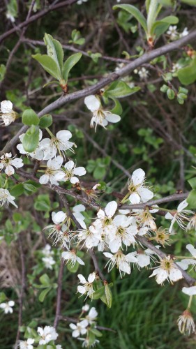 image-2016-04-09.jpg