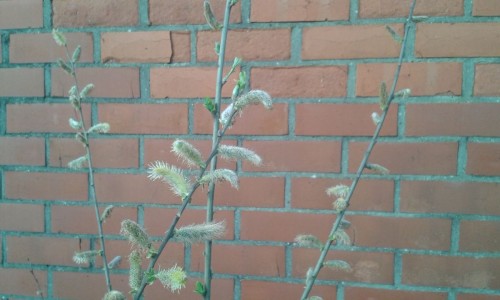 20160419_195006.jpg