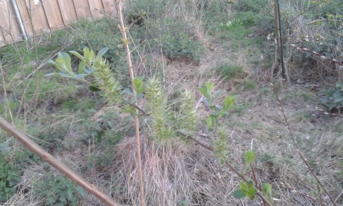 20160419_195035.jpg